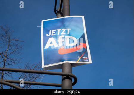 24.01.2025, Berlin, Deutschland, Europa - ein Wahlplakat der rechtspopulistischen Partei Alternative für Deutschland AfD s Stockfoto