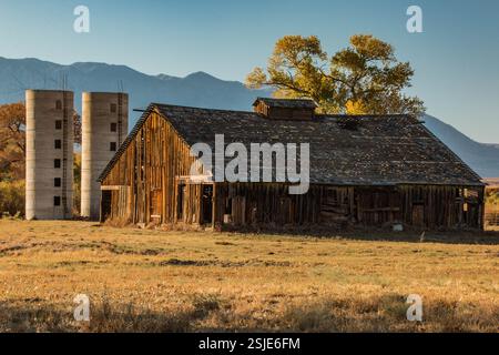 Eine alte Holzscheune und Silos auf einem verlassenen Bauernhof im Herbst. Stockfoto