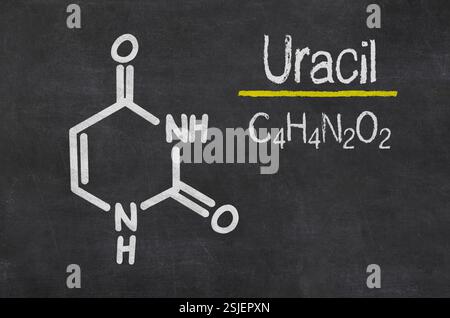 Schiefer mit der chemischen Formel des Uracil Stockfoto