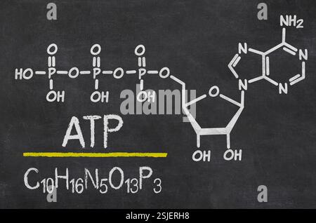 Schiefer mit der chemischen Formel von ATP Stockfoto