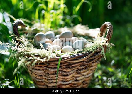 Korb gefüllt mit vielen farbigen ostereiern. Sonniger Tag in grüner Landschaft. Osterstillleben. Stockfoto
