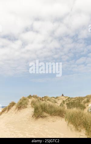 Blick auf eine Dünenlandschaft mit Weg zum Strand und Meer im Naturschutzgebiet und Ferienort Lakolk, Römö, Dänemark, Europa Stockfoto