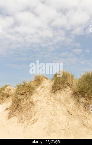 Blick auf eine Dünenlandschaft mit Weg zum Strand und Meer im Naturschutzgebiet und Ferienort Lakolk, Römö, Dänemark, Europa Stockfoto