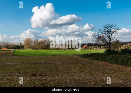 Blick auf die flämische Landschaft mit ernteten Ackerfeldern rund um Ternat, Belgien Stockfoto
