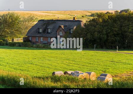 Typisches Haus mit Strohdach, Westerhever, Schleswig-Holstein, Deutschland Stockfoto