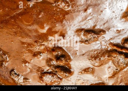 Eine Nahaufnahme von Rinderwangen, gebraten in Wein-Rosmarin und Gemüsesoße Stockfoto