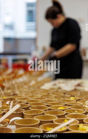Zubereitung und Plattieren einzelner Gerichte durch einen Caterer Stockfoto