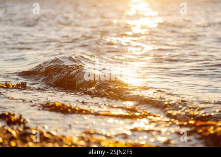 Frühlingstal, Glücksburg, Wasser und Wellen, Strand Stockfoto