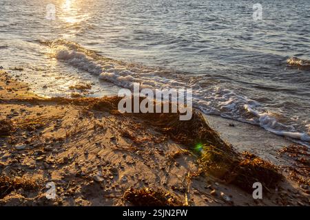 Frühlingstal, Glücksburg, Wasser und Wellen, Strand Stockfoto