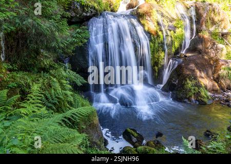 Die Triberger Wasserfälle, Triberg im Schwarzwald, Baden-Württemberg, Deutschland Stockfoto