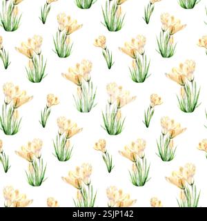 Nahtloses Muster von Krokussen Aquarellillustration auf weißem Hintergrund. Handgezeichnete Frühlingskerzenblüten für Blumenmotive in zarten Pastelltönen Stockfoto