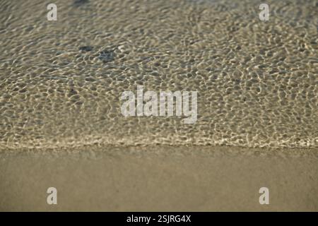 Holnis Halbinsel, Strand, Glücksburg Stockfoto