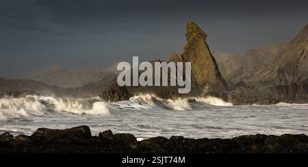 Warren Cliff, Hartland Quay, Devon Stockfoto