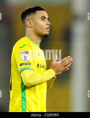 Norwich, Großbritannien. Februar 2025. Lewis Dobbin aus Norwich City würdigt die Fans nach der Niederlage der Teams nach dem Sky Bet Championship Match Norwich City gegen Preston North End in der Carrow Road, Norwich, Großbritannien, 11. Februar 2025 (Foto: Izzy Poles/News Images) in Norwich, Vereinigtes Königreich am 11. Februar 2025. (Foto: Izzy Poles/News Images/SIPA USA) Credit: SIPA USA/Alamy Live News Stockfoto