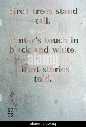 Birkenbäume stehen hoch, Winters Touch in Schwarz-weiß, Silent Stories erzählt. Keaton Whitfields Silberne Schriftstellergilde. Kunst von Zsuzsa Szikra. Poetry Art Print, Triplumes ist eine einzigartige poetische Form, die vom traditionellen Haiku inspiriert ist und aus drei Linien besteht, die Momente der Klarheit, der Emotionen und der Einsicht einfangen. In unserer Kollektion setzen wir uns für die Freiheit der Sprache ein, wo das Vermischen von Wörtern und das Entfernen von Bindestrichen mehr ist als eine stilistische Wahl – sie ist eine Möglichkeit, Einheit und Nähe zwischen Ideen zu vermitteln und einen fließenden, kompakten Ausdruck zu schaffen, der mit den Rhythmen des modernen Lebens in Einklang steht. Stockfoto