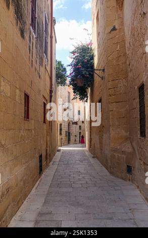 Mdina, Malta 30. September 2024: Sonnendurchflutete Gasse in Mdina mit Steinmauern und hängenden Blumen Stockfoto