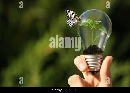 Frau mit Glühbirne mit Sämling innen und Schmetterling auf verschwommenem Hintergrund, Nahaufnahme. Konzept der grünen Energie Stockfoto