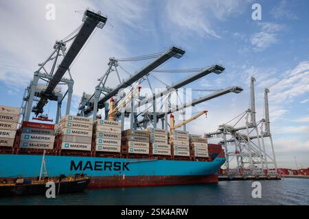 Portalkrane wurden über Containerstapel auf einem Frachtschiff von Maersk im Hafen von Long Beach, CA Stockfoto