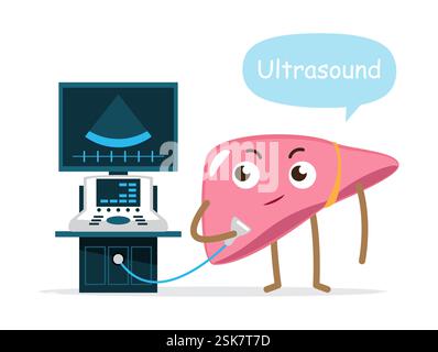Leber- und Ultraschallgerät, niedlicher medizinischer Zeichentrickcharakter, Leber-Check-up-Konzept, Vektor. Stock Vektor