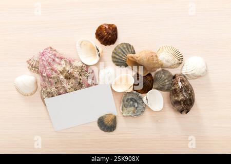Farbenfrohe Auswahl an Muscheln, die auf einer Holzoberfläche mit einer leeren Karte zur Personalisierung oder Beschriftung angeordnet sind Stockfoto