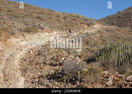 Ein einsamer Wanderer spaziert auf einem felsigen Pfad in den Bergen von Teneriffa, Spanien Stockfoto