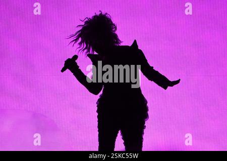 UK. Februar 2025. LONDON, ENGLAND - 11. FEBRUAR 2025: Cyndi Lauper trat in der O2 Arena in Greenwich auf. CAP/MAR © MAR/Capital Pictures Credit: Capital Pictures/Alamy Live News Stockfoto