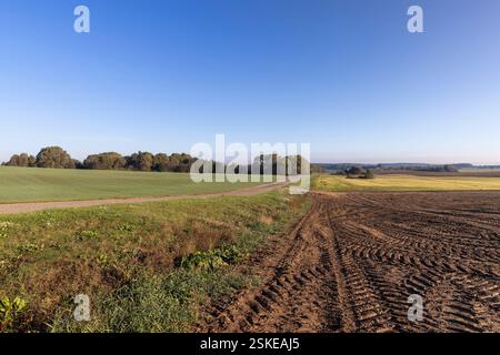 Spuren von rauer Lauffläche von Automobilrädern auf dem gepflügten Boden des Feldes, Spuren von Zugmaschinen und anderen landwirtschaftlichen Maschinen auf dem Boden im Boden Stockfoto