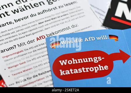 Deutschland - Februar 2025: Nahaufnahme verschiedener Flugblätter, die über die Risiken der Wahl für die rechtsextreme Partei AfD informieren Stockfoto