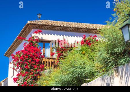 Granada Stadt in Spanien. Pulsierende Bougainvillea-Blüten kaskadieren die Fassade eines weißen Gebäudes und schaffen eine malerische mediterrane Szene. Stockfoto