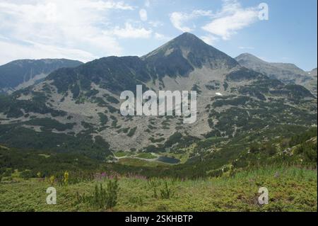 Berggipfel mit Schichten überzogenen Hängen durchsichtigen See darunter. Üppig grüne Wiesen Wildblumen im Vordergrund. Malerische Landschaft mit schöner Natur. Dieses Foto wird erneut angezeigt Stockfoto