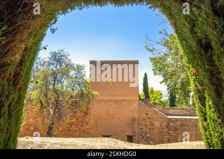 Alhambra Komplex in Granada Stadt, Andalusien, Spanien. Alte Steinmauer, die durch einen üppig grünen Bogengang unter einem klaren blauen Himmel betrachtet wird. Stockfoto