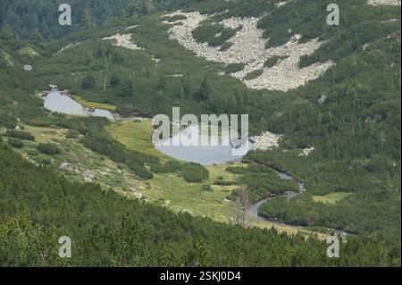 BULGARIEN: Zwei herzförmige Seen eingebettet in üppig grüne Wälder, umgeben von felsigem Gelände. Ein sich windender Fluss fließt durch das Tal und bildet einen Stockfoto