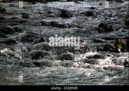 Wasser stürzt über glatte Felsen, Sonnenlicht leuchtet auf der Oberfläche. BULGARIEN das rauschende Wasser symbolisiert den konstanten Fluss von Leben und Zeit. Glatt Stockfoto