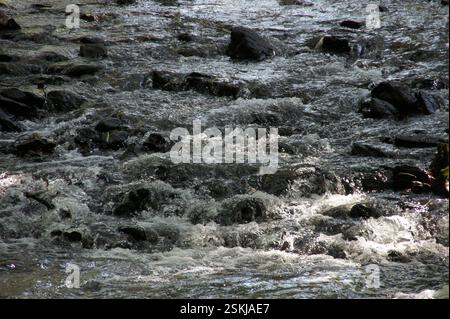 Wasser stürzt über glatte, dunkle Felsen und wirft schimmernde Reflexe im Sonnenlicht. Das Wasser erzeugt ein Gefühl von Bewegung und Energie, während der Felsen Stockfoto