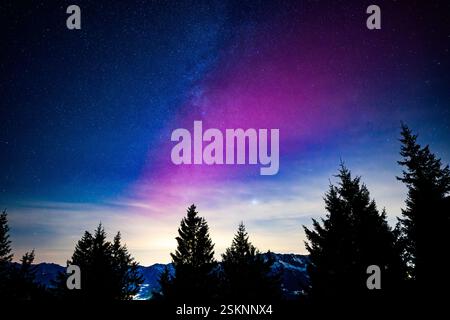 Violette Nordlichter über einem Wald in den österreichischen alpen Stockfoto