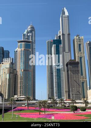 Dubai Marina Gebäude mit rosa Blumen Stockfoto