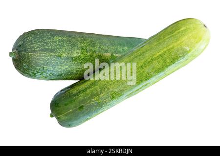 Die Draufsicht von zwei langen grünen Gurken in Stapelform und Kreuzform in vertikaler Form ist auf weißem Hintergrund mit Beschneidungspfad isoliert. Stockfoto