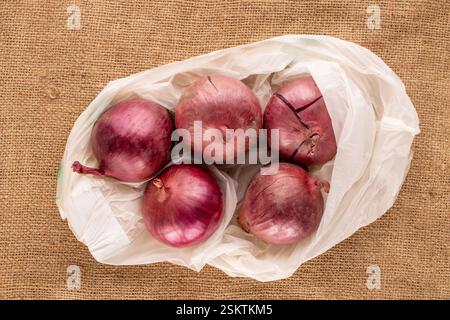 Mehrere blaue Zwiebeln in einem Bio-Beutel auf einem Jutetuch, Draufsicht, Makro Stockfoto