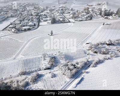 Luftbild des schneebedeckten Dorfes umgeben von gefrorenem Weinberg in Hallau, Klettgau, Schaffhausen, Schweiz Stockfoto