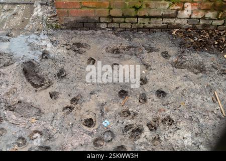 Windsor, Berkshire, Großbritannien. Februar 2025. Wieder einmal gibt es ekelhafte, rohe Abwässer, einschließlich Toilettenpapier, das aus einem Abfluss vor dem hinteren Tor des King & Castle Wetherspoons Pubs auf einen öffentlichen Fußweg in Windsor, Berkshire, fließt. Noch schlimmer, da sind Tierpfotenabdrücke drin. Das Hintertor des Wetherspoons Pub ist der Ort, an dem Bierfässer und Lieferungen in den Pub kommen. Quelle: Maureen McLean/Alamy Live News Stockfoto