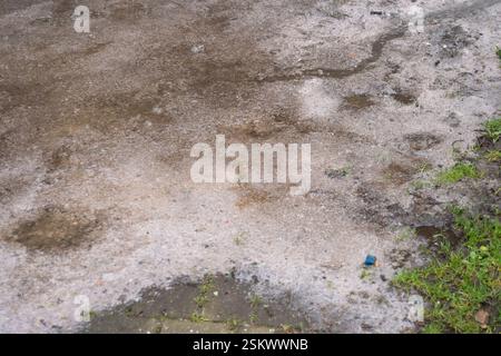 Windsor, Berkshire, Großbritannien. Februar 2025. Wieder einmal gibt es ekelhafte, rohe Abwässer, einschließlich Toilettenpapier, das aus einem Abfluss vor dem hinteren Tor des King & Castle Wetherspoons Pubs auf einen öffentlichen Fußweg in Windsor, Berkshire, fließt. Noch schlimmer, da sind Tierpfotenabdrücke drin. Das Hintertor des Wetherspoons Pub ist der Ort, an dem Bierfässer und Lieferungen in den Pub kommen. Quelle: Maureen McLean/Alamy Live News Stockfoto