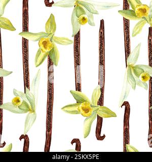 Vanillebohnen mit nahtlosem Blumenmuster in Aquarell isoliert auf weißem Hintergrund. Hochwertiges handgezeichnetes Design, perfekt für Gewürzbox, Café Stockfoto