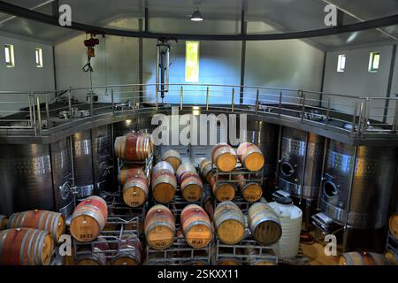 Westkap, Franschhoek, Weinanbau in Eichenholzfässern im Keller eines Weinguts mit Weinberg Südafrika, RSA Stockfoto