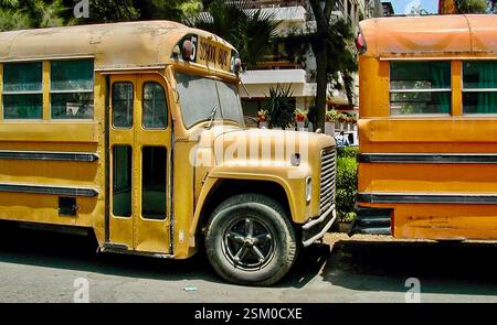 Ägypten Kairo amerikanische Schulbusse Stockfoto