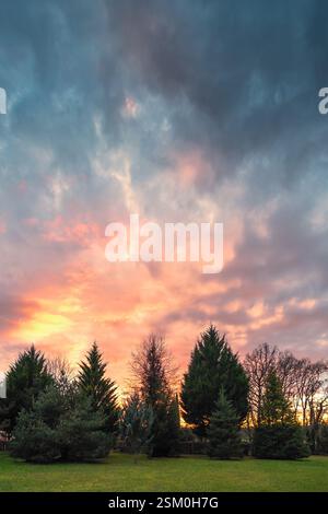 Dramatischer orangefarbener Sonnenuntergang an einem bewölkten Abend, der den Himmel über einigen Nadelbäumen in einem Park in der französischen Dordogne beleuchtet Stockfoto