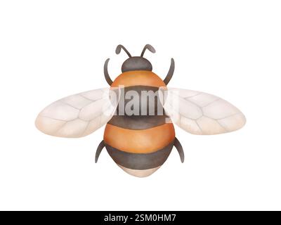 Hummel fliegen, Draufsicht. Illustration des Garteninsekts isoliert auf weiß. Stilvolles, handgezeichnetes Designelement. Stockfoto