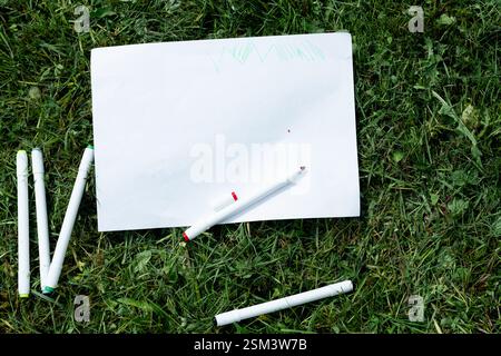 Farbige Marker und ein leeres Blatt Papier auf grünem Gras, Draufsicht Stockfoto
