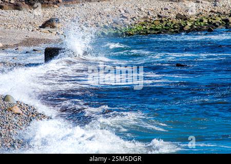 Ozeanwellen krachen gegen eine felsige Küste in Rhode Island und erzeugen weißen Schaum und Spritzer, wenn das Wasser unter hellem Sonnenlicht auf die zerklüftete Küste trifft. Stockfoto