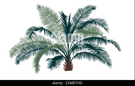 Eine Palme mit grünen Blättern und braunem Stamm. Stock Vektor