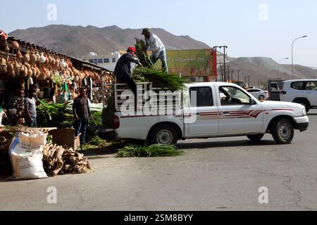 Männer, die Tierfutter vom Pick-up-Truck im Souq Fanja Al-Hadith Oman abladen Stockfoto